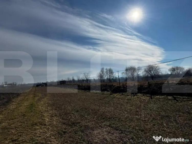 Teren extravilan 3100 mp cu ie?ire la raul Mure? - 7