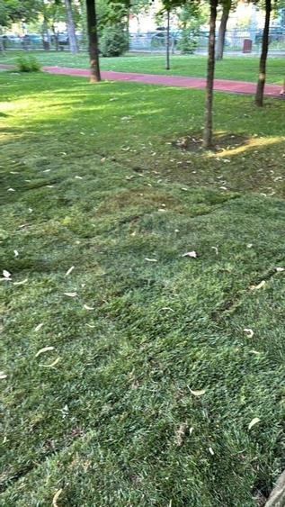 Casa  Vila cu 4 camere de inchiriat Cernica langa padure - 26