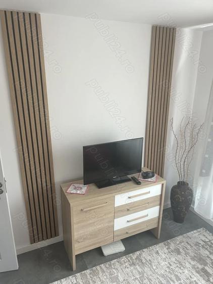 Ap. 2 camere Tudor - 5