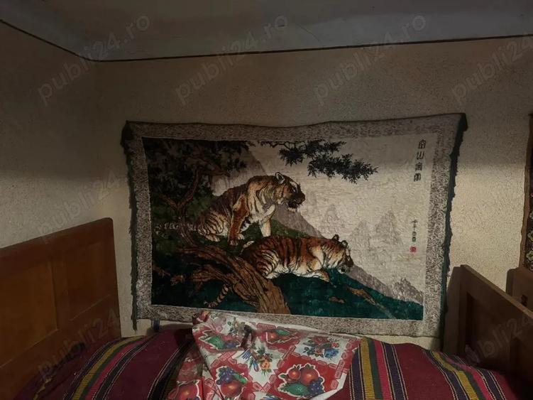 Casa de vanzare in Socolari - 1