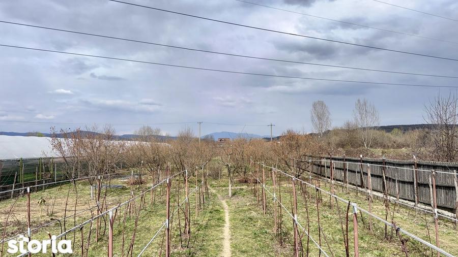 Vila cu piscina | Livada | Curte 3000 mp - 9