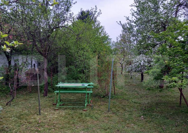 Teren, 600 mp, zona Bercu Rosu - 10