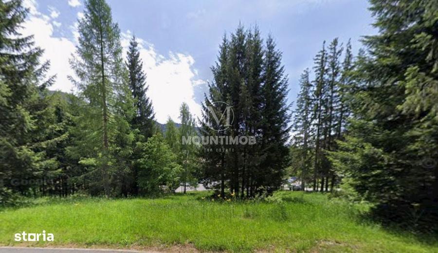 Teren intravilan in Poiana Bra?ov 1404 mp, str. Poiana Ruia - 1