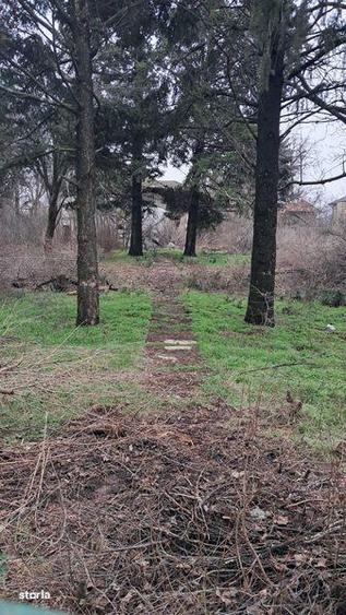 Teren metro voluntari - 1