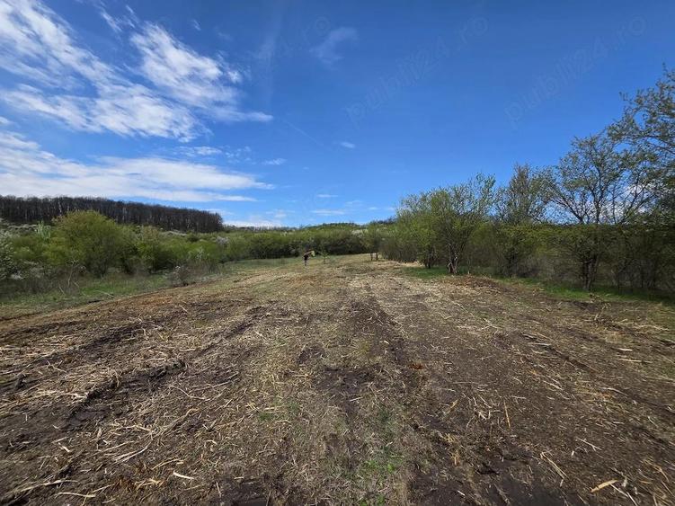 De vanzare teren intravilan Barsau, jud. Hunedoara - 9