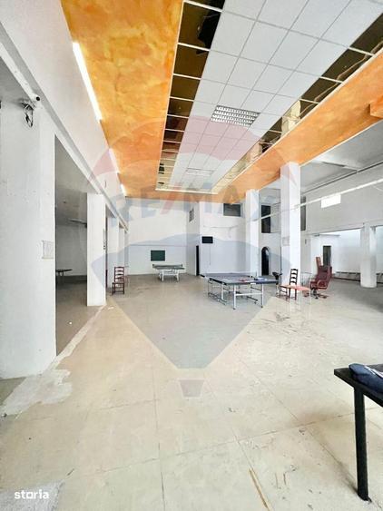 Spa?iu comercial open-space Teiul Doamnei-Colentina - 3