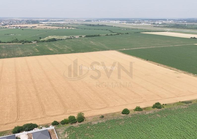 Teren Tunari - planul 2 l Padurea Tunari Teren Tunari - planul 2 l Padurea Tunari