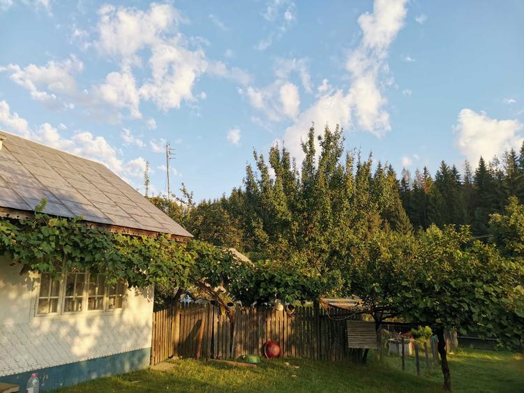 Vand teren intravilan cu casa 7400 mp in Sasca Mare, Suceava - 9