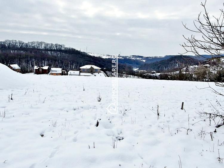 Teren intravilan 1.500 mp. Corunca Valea Iubirii 65 euro mp - 7