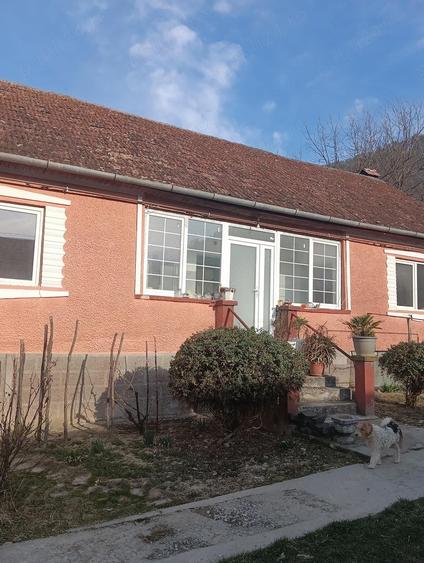 Vand doua case pe o curte, Nicula jud Cluj - 10