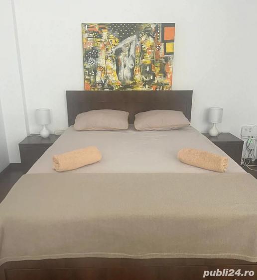 Garsoniera Moderna, ULTRACENTRAL Pitesti - 300 luna - 3