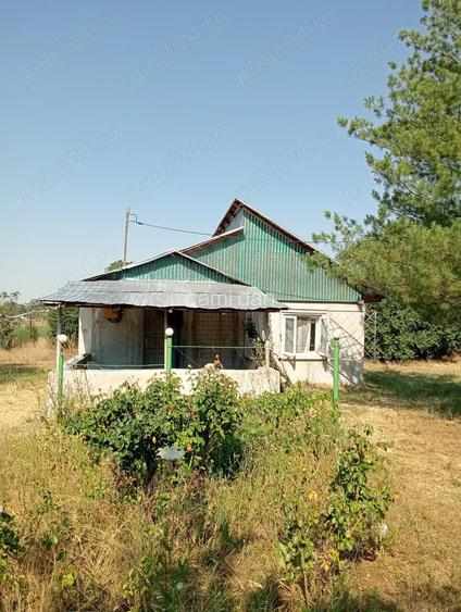 Vand casa cu 2500 mp teren Vand casa cu 2500 mp teren