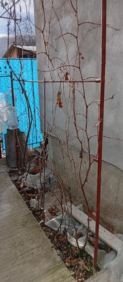 Casa de vanzare la munte in com Starchiojd - 1