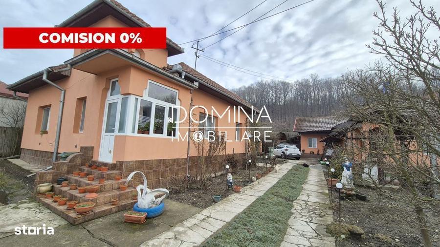 Vanzare 2 case - teren generos - facilitati complete - sat Carbesti - 4