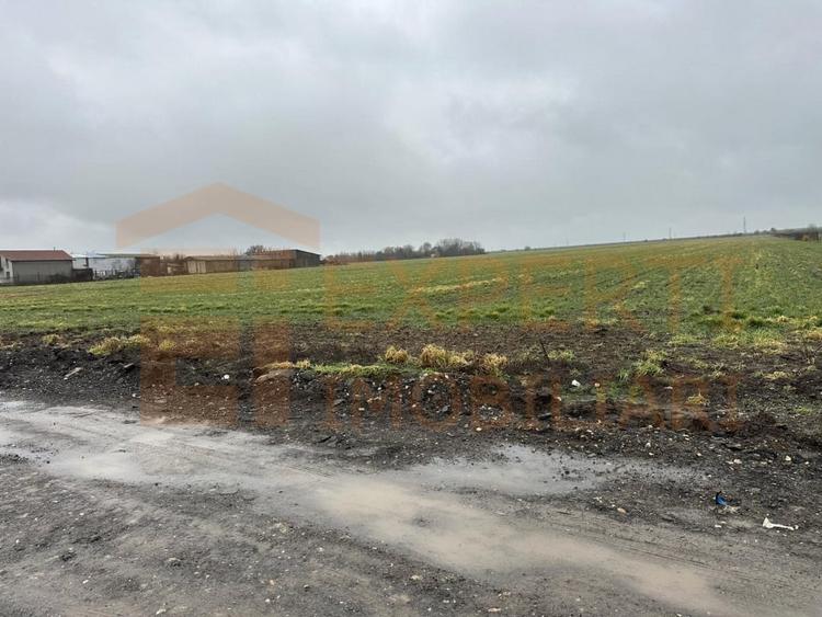 Teren 14.785 mp , zona Ovidiu, Constanta - 3