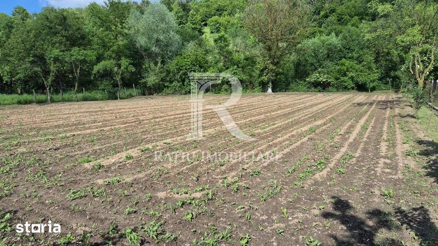 Casa cu 6 camere | Sitani | Bihor - 5