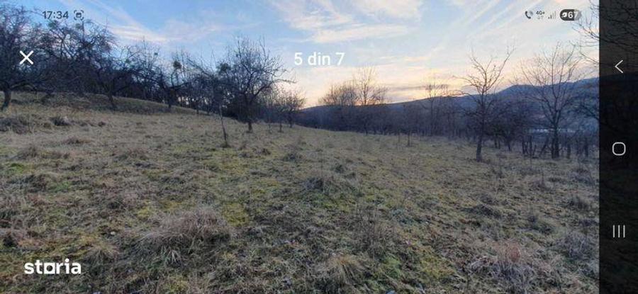 Vind teren intravilan sau extravilan Cacova Ierii - 5