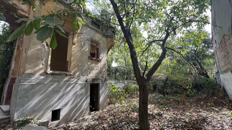 VILA INDIVIDUALA CISMIGIU | INTR. TEMISANA - 8