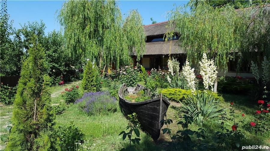 Pensiune agro-turistica in paradisul Deltei Dunarii - 6