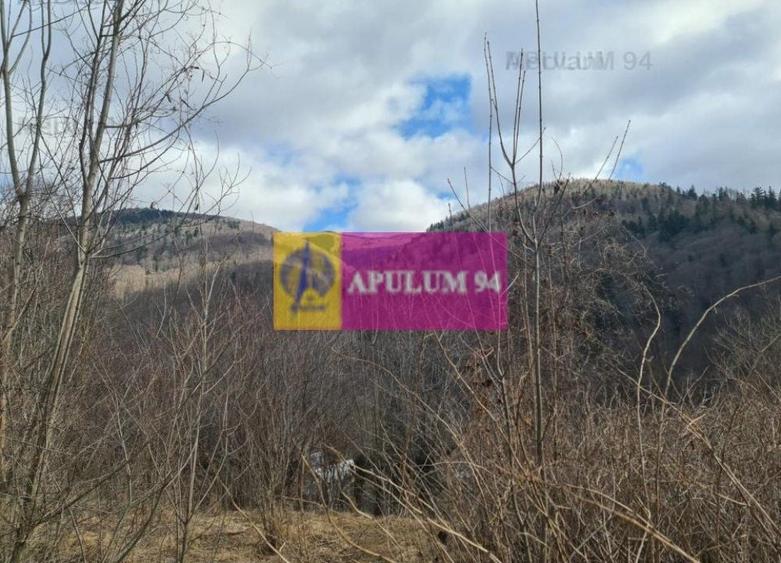 Teren de v&acirc;nzare &icirc;n Sinaia - Platou Izvor - 11