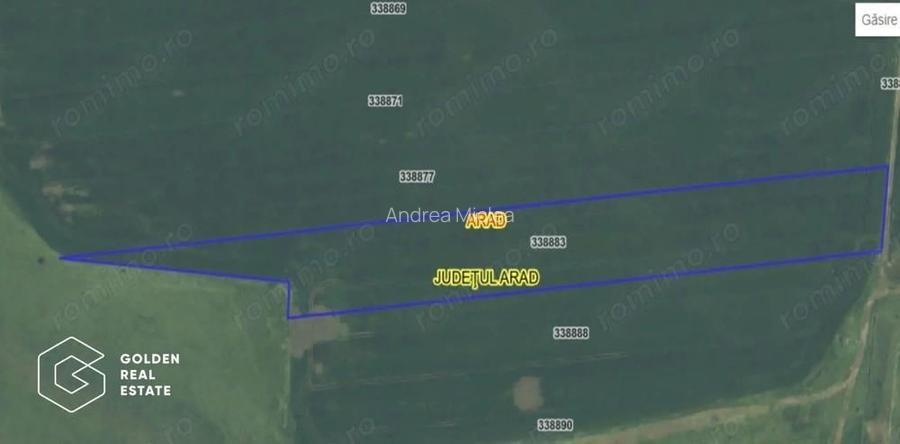 Teren extravilan agricol, 17.199mp, la iesirea din Arad spre Sofronea Teren extravilan agricol, 17.199mp, la iesirea din Arad spre Sofronea
