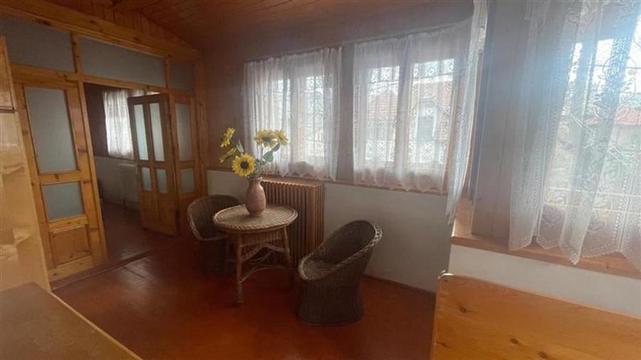 Ferdinand, cartier rezidential, vila burgheza cu magnolie - 9