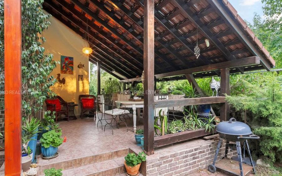 Promotie - vila langa padure cu piscina-Paradisul Verde - 29