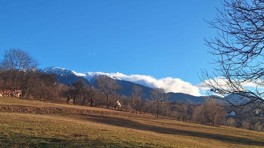 Teren de vanzare - 7