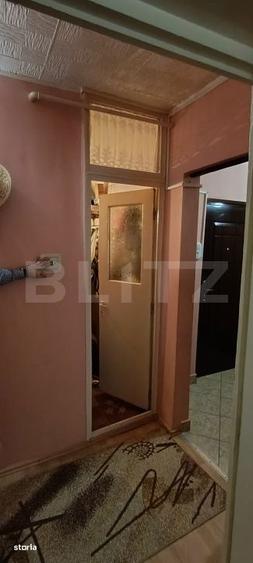 Apartament 3 camere, 2 bai, mobilat, central Ludus - 8