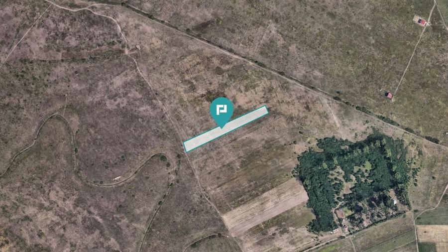 Teren extravilan de 10.000 mp - 6