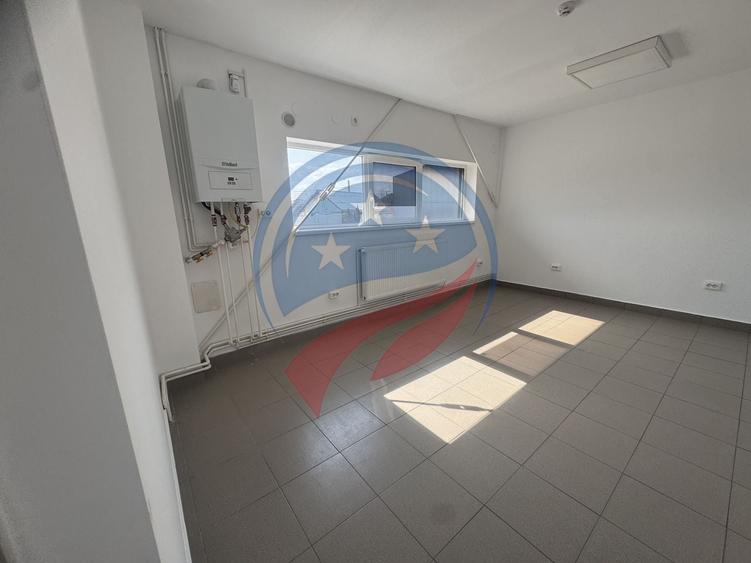 Hala in zona FORD 300-600 mp - 1