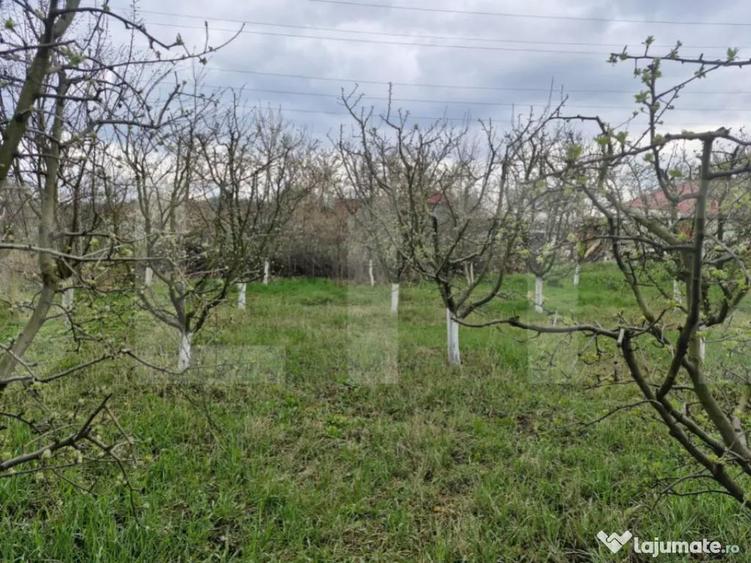Casa batraneasca cu 2700mp teren intravilan - Broscauti - 1