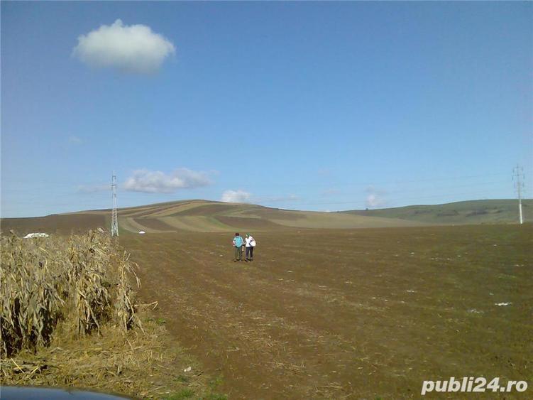 vand teren intravilan 3935 mp, nord - est in sat NAZNA - 6