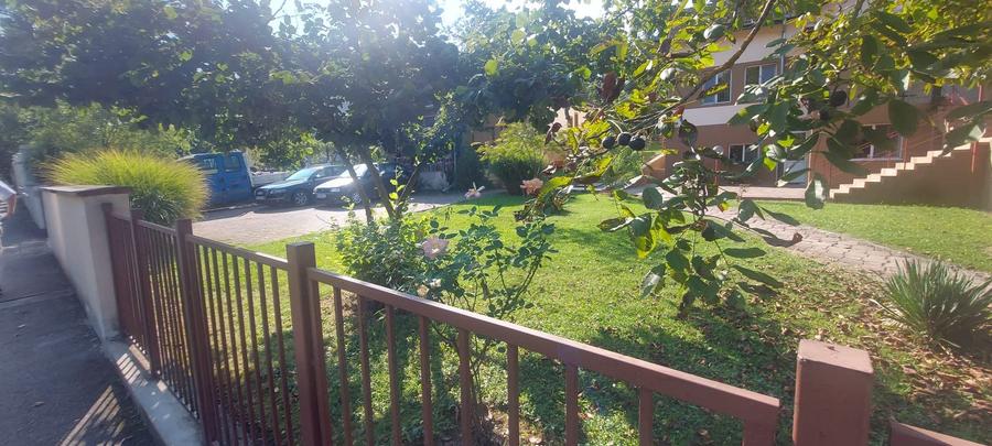 Pensiune functionala arhitectura deosebita Buzias - 7