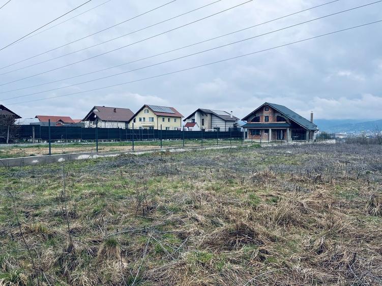 Teren intravilan dealul grosului (Mihai Eminescu, Baia Mare) - 5