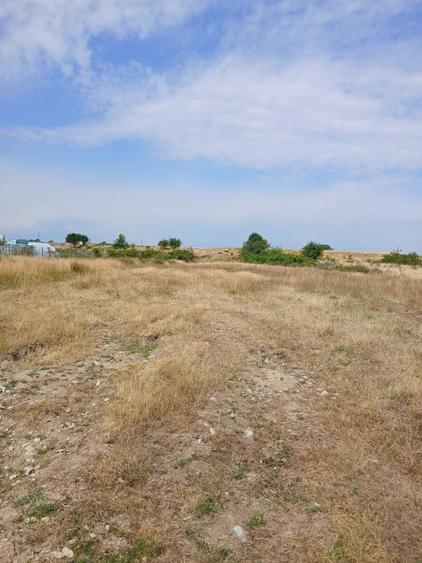 Teren de vanzare in zona Transfagarasan - 2