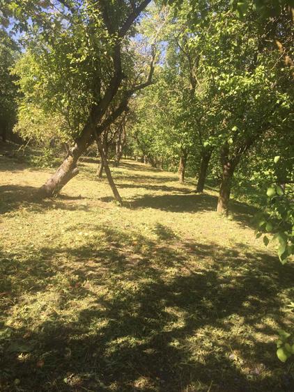 Teren 2030 mp | Sat Gheorghieni | Asfaltat | Pers. Fizica - 4