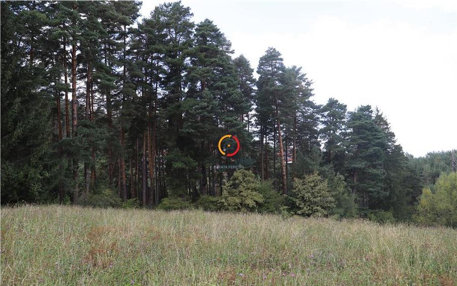 Teren intravilan cu PUZ si PUD 2 loturi - 4