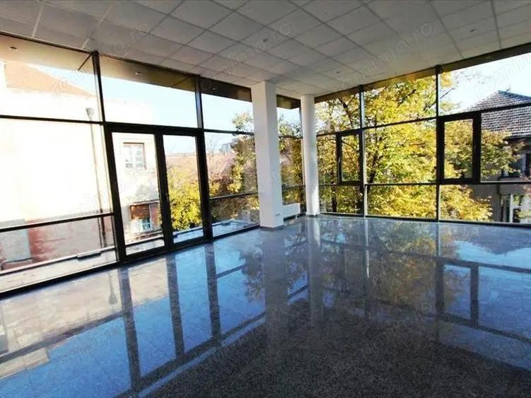 Birouri luxoase in zona centrala - 5