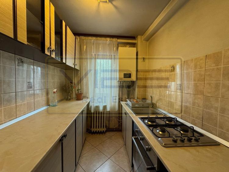 Apartament 2 camere Alexandru cel Bun- 5 min Parcul Voievozilor - 29