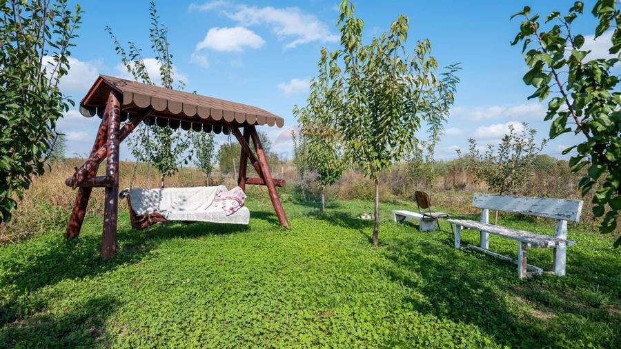 Vanzare vila si spațiu comercial, gradina si garaj-zona Corbii Mari - 20