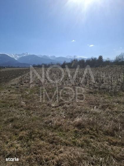 Teren extravilan de vanzare - Arpasul de Sus - 2
