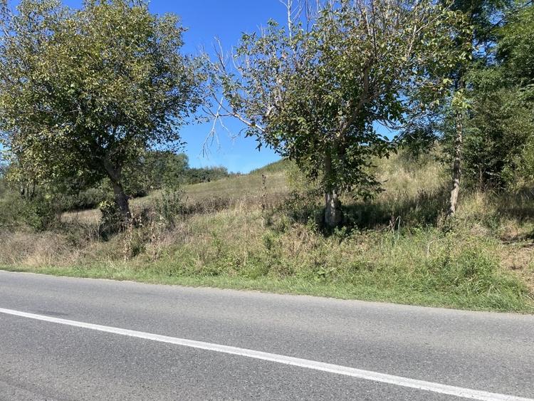 Teren Intravilan 1300 mp - PUZ aprobat Cornatel -  Sibiu - 3