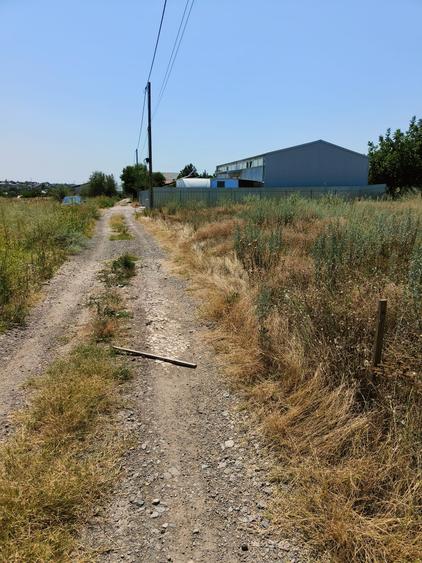 Vand 566mp intravilan Filesti -27euro/mp - 1