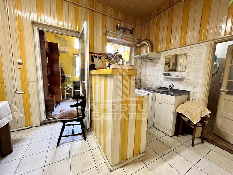 Casa individuala cu 6 camere situata in zona Elisabetin - 7
