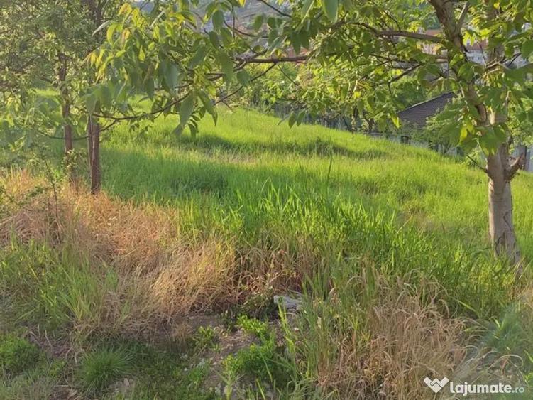 Teren Spitalul Judetean - 2
