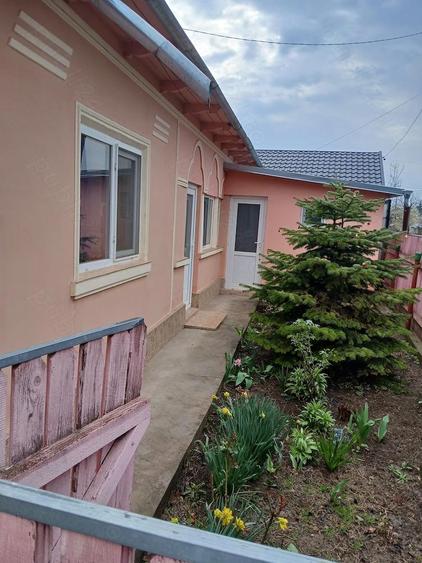 Vand sau schimb cu apartament cu 2 camere plus diferenta,casa in sat Albina comuna Tichilesti - 5