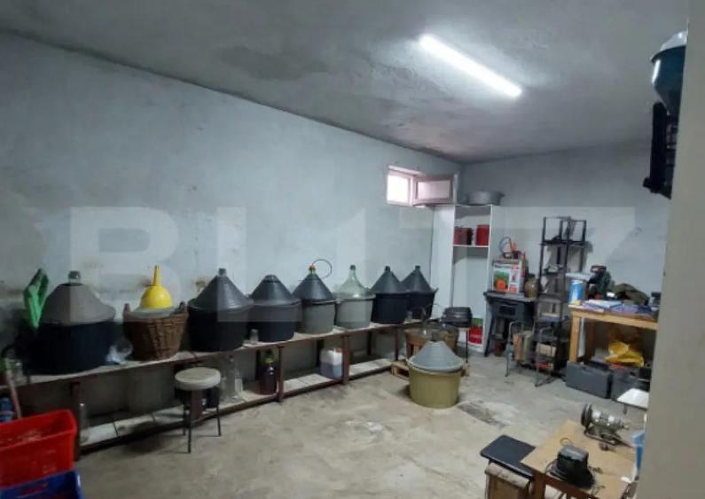 Casa/Spatiu Comercial, 620 mp, pe 3 nivele: demisol, parter, - 13