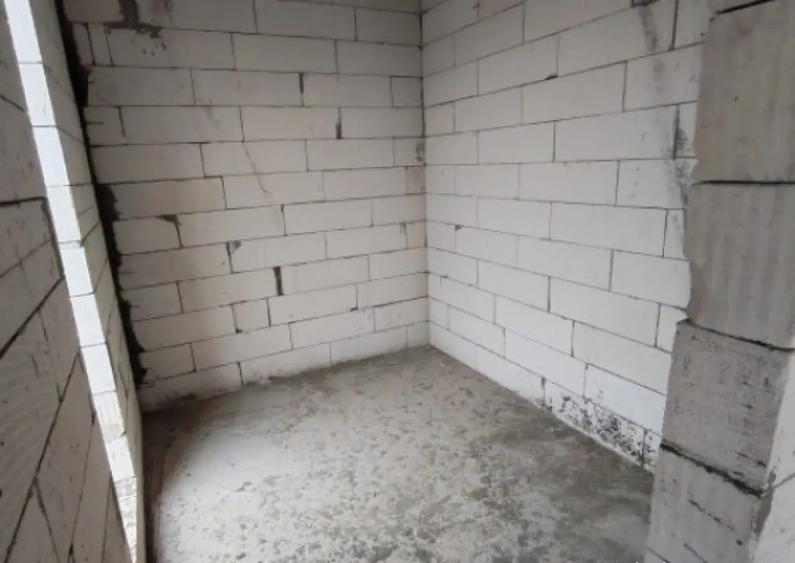 Casa Malu Mare - Capsunarie - Damila - 2