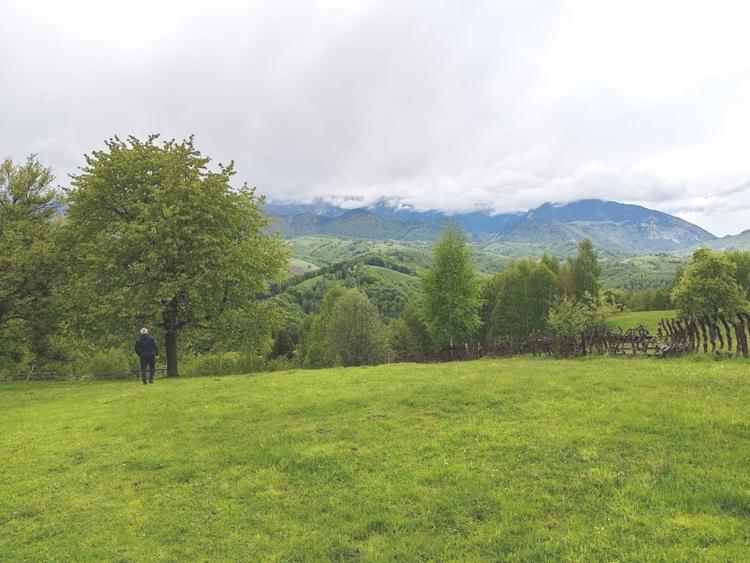 Oportunitate rara! Teren 7.283 mp, investitie garantata - 6